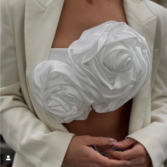 ZARA LIMITED EDITION VOLUMINOUS SATIN ROSE FLORAL CROPPED TOP - Picture 3 of 3